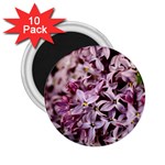 PURPLE LILACS 2.25  Magnets (10 pack) 