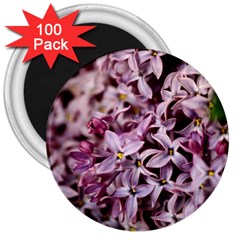 Purple Lilacs 3  Magnets (100 Pack) by trendistuff