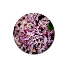 Purple Lilacs Magnet 3  (round) by trendistuff