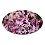 PURPLE LILACS Oval Magnet