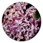 PURPLE LILACS Magnet 5  (Round)