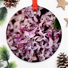 Purple Lilacs Round Ornament (two Sides)  by trendistuff