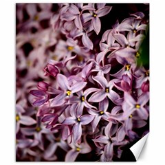 Purple Lilacs Canvas 8  X 10  by trendistuff