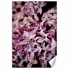 Purple Lilacs Canvas 24  X 36 