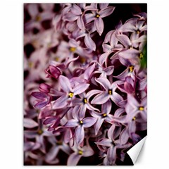 Purple Lilacs Canvas 36  X 48   by trendistuff