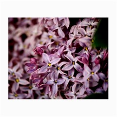 Purple Lilacs Small Glasses Cloth (2-side) by trendistuff