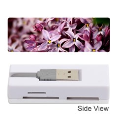 Purple Lilacs Memory Card Reader (stick) 