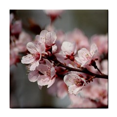 Plum Blossoms Tile Coasters