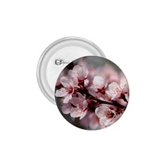 Plum Blossoms 1 75  Buttons by trendistuff