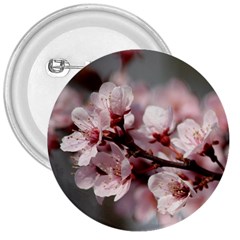 Plum Blossoms 3  Buttons