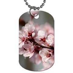 Plum Blossoms Dog Tag (one Side) by trendistuff