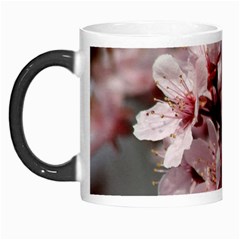 Plum Blossoms Morph Mugs