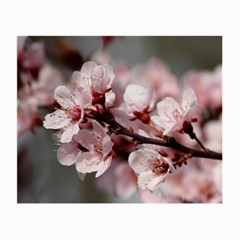 Plum Blossoms Small Glasses Cloth by trendistuff