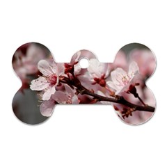 Plum Blossoms Dog Tag Bone (one Side) by trendistuff