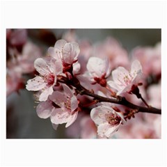 Plum Blossoms Large Glasses Cloth (2-side) by trendistuff