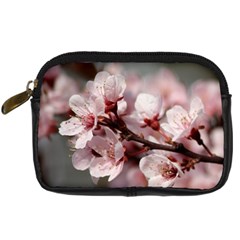 Plum Blossoms Digital Camera Cases by trendistuff