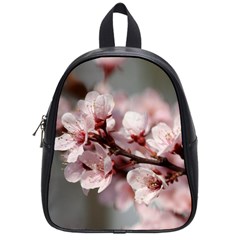 Plum Blossoms School Bags (small)  by trendistuff