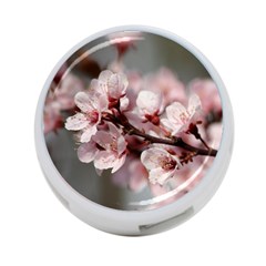 Plum Blossoms 4-port Usb Hub (two Sides) 