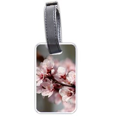 Plum Blossoms Luggage Tags (one Side)  by trendistuff