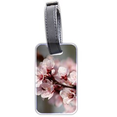 Plum Blossoms Luggage Tags (two Sides) by trendistuff