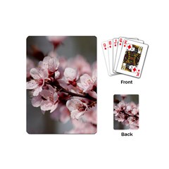 Plum Blossoms Playing Cards (mini)  by trendistuff