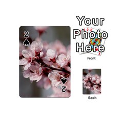 Plum Blossoms Playing Cards 54 (mini)  by trendistuff