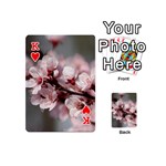 PLUM BLOSSOMS Playing Cards 54 (Mini)  Front - HeartK