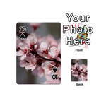 PLUM BLOSSOMS Playing Cards 54 (Mini)  Front - Spade10