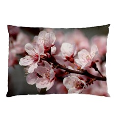 Plum Blossoms Pillow Cases (two Sides)