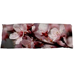 Plum Blossoms Body Pillow Cases (dakimakura) 