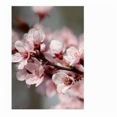 Plum Blossoms Large Garden Flag (two Sides)