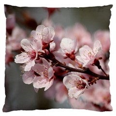 Plum Blossoms Large Cushion Cases (two Sides)  by trendistuff