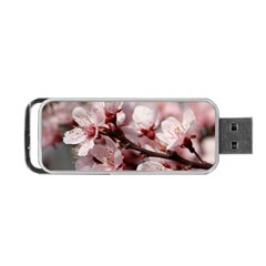 Plum Blossoms Portable Usb Flash (one Side) by trendistuff