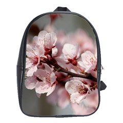 Plum Blossoms School Bags (xl)  by trendistuff