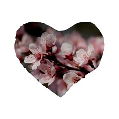 Plum Blossoms Standard 16  Premium Heart Shape Cushions by trendistuff