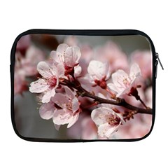 Plum Blossoms Apple Ipad 2/3/4 Zipper Cases by trendistuff