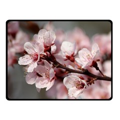 Plum Blossoms Double Sided Fleece Blanket (small) 