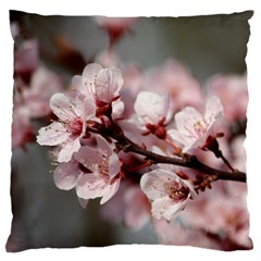 Plum Blossoms Standard Flano Cushion Cases (two Sides)  by trendistuff