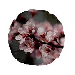 Plum Blossoms Standard 15  Premium Flano Round Cushions