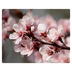 Plum Blossoms Double Sided Flano Blanket (medium) 