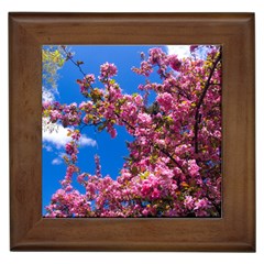 Pink Flowers Framed Tiles by trendistuff