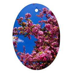 Pink Flowers Ornament (oval)  by trendistuff