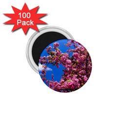 Pink Flowers 1 75  Magnets (100 Pack) 