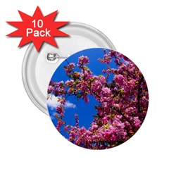 Pink Flowers 2 25  Buttons (10 Pack) 