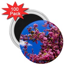 Pink Flowers 2 25  Magnets (100 Pack)  by trendistuff