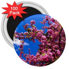 Pink Flowers 3  Magnets (100 Pack)