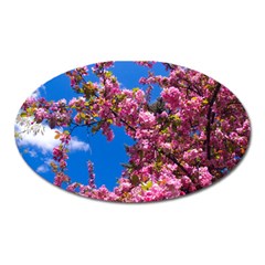 Pink Flowers Oval Magnet by trendistuff