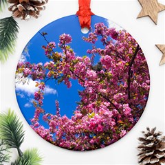 Pink Flowers Round Ornament (two Sides)  by trendistuff