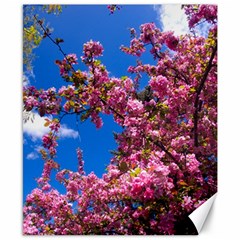 Pink Flowers Canvas 8  X 10  by trendistuff