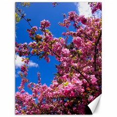 Pink Flowers Canvas 12  X 16   by trendistuff